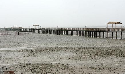 《艾尔登法环》新地点 “Liurnia 之湖” 游戏2月25日发售